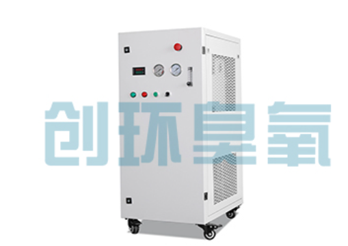 酒泉石斑鱼养殖水质调控完整指南:臭氧发生器配置与操作步骤