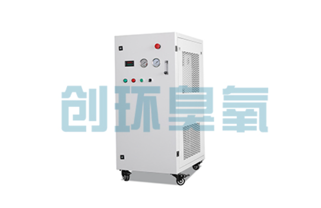 酒泉比传统换水更高效?臭氧发生器在石斑鱼养殖中的水质净化原理解析